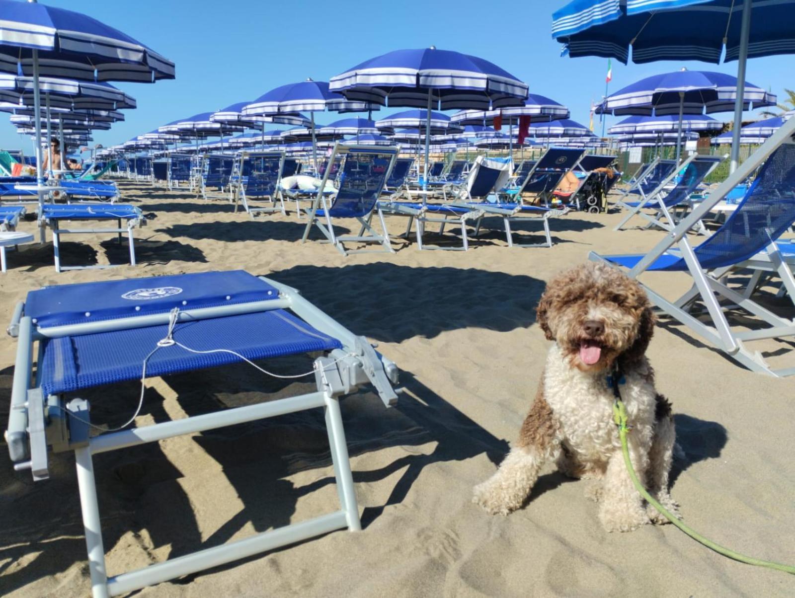 Casa Per Ferie Il Pioppo Hotel Marina di Massa Buitenkant foto